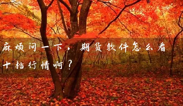 麻烦问一下，期货软件怎么看十档行情啊？_https://www.wushaosheng.com_苹果期货_第1张