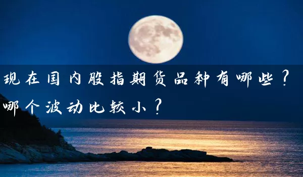 现在国内股指期货品种有哪些？哪个波动比较小？_https://www.wushaosheng.com_苹果期货_第1张