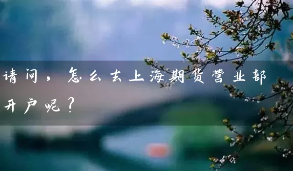 请问，怎么去上海期货营业部开户呢？_https://www.wushaosheng.com_豆粕期货_第1张