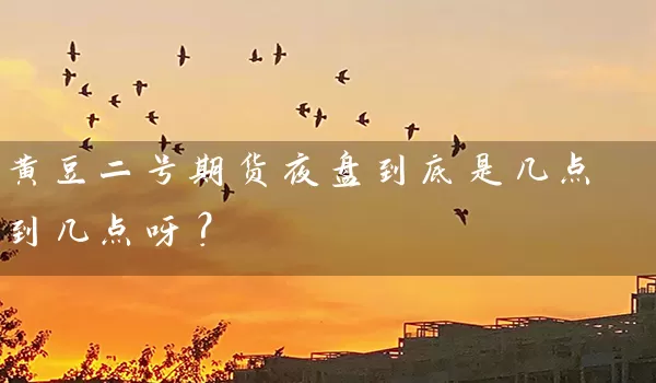 黄豆二号期货夜盘到底是几点到几点呀？_https://www.wushaosheng.com_生猪期货_第1张