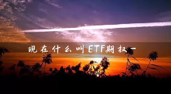 现在什么叫ETF期权-_https://www.wushaosheng.com_花生期货_第1张