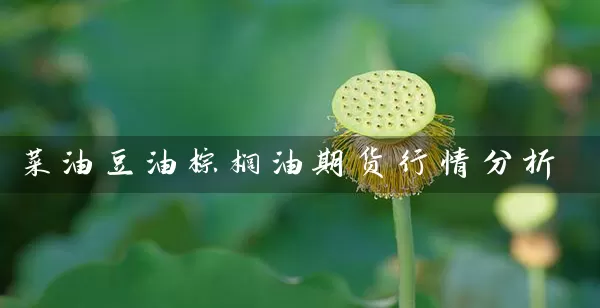 菜油豆油棕榈油期货行情分析_https://www.wushaosheng.com_期货开户_第1张