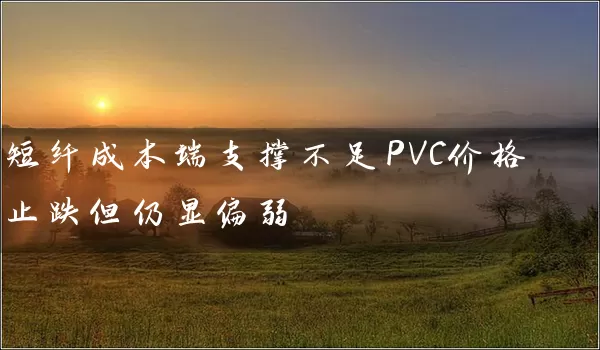 短纤成本端支撑不足PVC价格止跌但仍显偏弱_https://www.wushaosheng.com_苹果期货_第1张