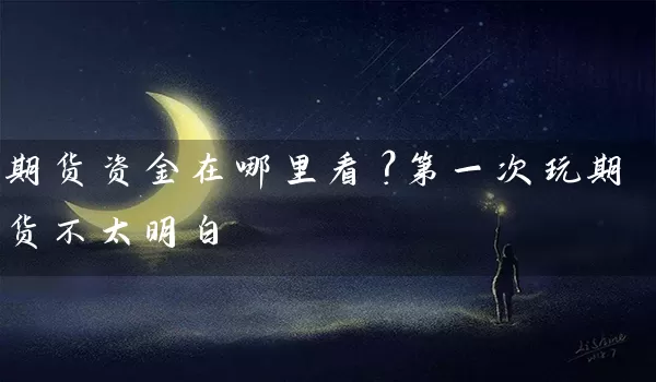 期货资金在哪里看？第一次玩期货不太明白_https://www.wushaosheng.com_期货直播间_第1张