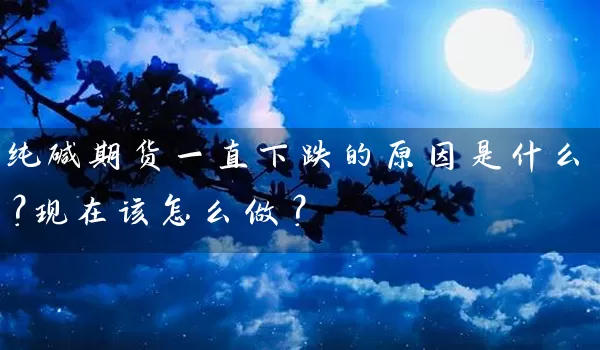 纯碱期货一直下跌的原因是什么？现在该怎么做？_https://www.wushaosheng.com_豆粕期货_第1张