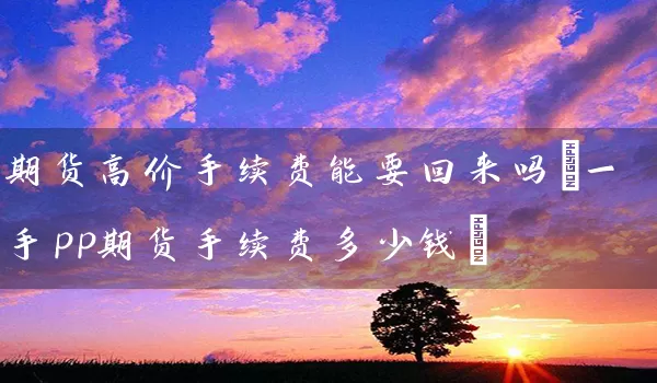 期货高价手续费能要回来吗(一手pp期货手续费多少钱)_https://www.wushaosheng.com_苹果期货_第1张