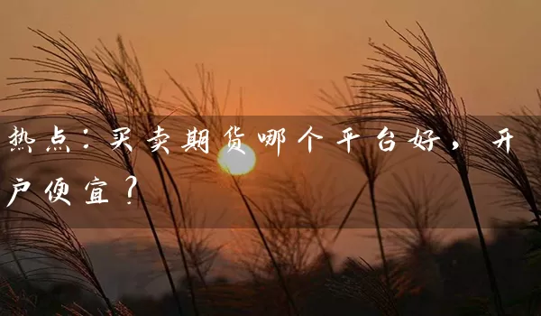 热点：买卖期货哪个平台好，开户便宜？_https://www.wushaosheng.com_豆粕期货_第1张