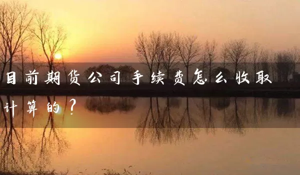 目前期货公司手续费怎么收取计算的？_https://www.wushaosheng.com_苹果期货_第1张