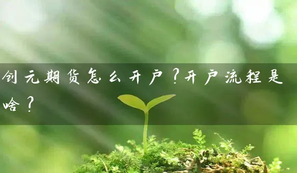 创元期货怎么开户？开户流程是啥？_https://www.wushaosheng.com_生猪期货_第1张