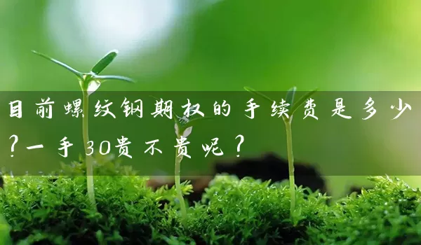 目前螺纹钢期权的手续费是多少？一手30贵不贵呢？_https://www.wushaosheng.com_苹果期货_第1张