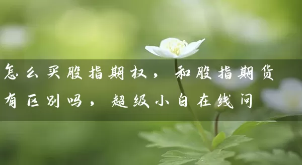 怎么买股指期权，和股指期货有区别吗，超级小白在线问_https://www.wushaosheng.com_花生期货_第1张