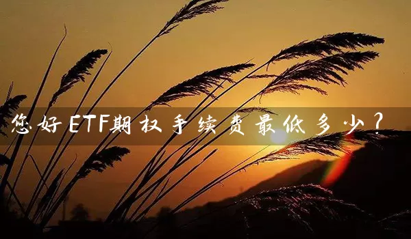 您好ETF期权手续费最低多少？_https://www.wushaosheng.com_期货直播间_第1张