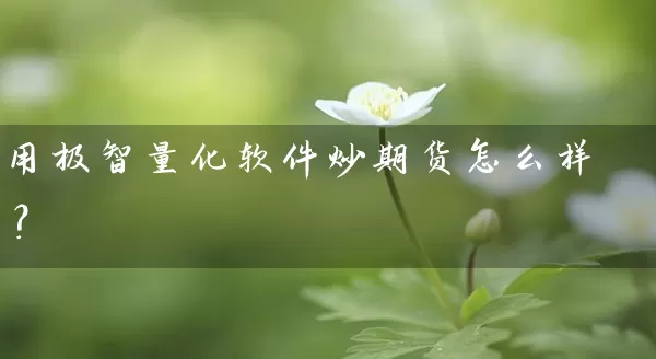 用极智量化软件炒期货怎么样？_https://www.wushaosheng.com_花生期货_第1张