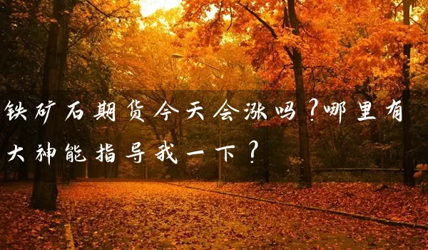 铁矿石期货今天会涨吗？哪里有大神能指导我一下？_https://www.wushaosheng.com_豆粕期货_第1张