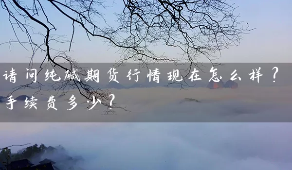 请问纯碱期货行情现在怎么样？手续费多少？_https://www.wushaosheng.com_豆粕期货_第1张