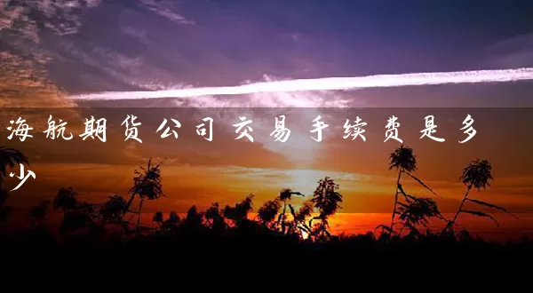 海航期货公司交易手续费是多少_https://www.wushaosheng.com_生猪期货_第1张