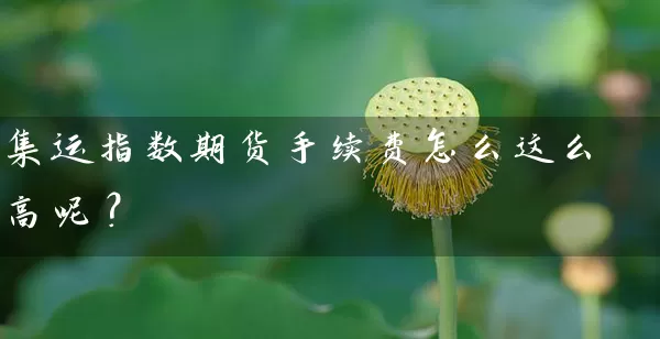 集运指数期货手续费怎么这么高呢？_https://www.wushaosheng.com_生猪期货_第1张