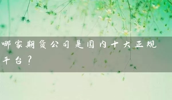 哪家期货公司是国内十大正规平台？_https://www.wushaosheng.com_豆粕期货_第1张