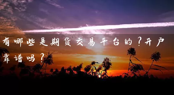 有哪些是期货交易平台的？开户靠谱吗？_https://www.wushaosheng.com_豆粕期货_第1张