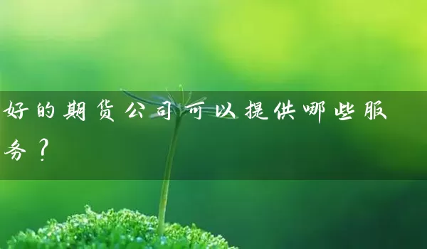 好的期货公司可以提供哪些服务？_https://www.wushaosheng.com_期货直播间_第1张