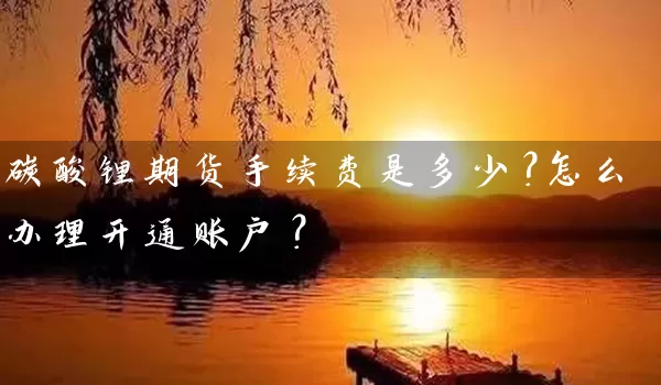 碳酸锂期货手续费是多少？怎么办理开通账户？_https://www.wushaosheng.com_期货直播间_第1张