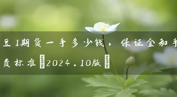 豆1期货一手多少钱，保证金和手续费标准(2024.10版)_https://www.wushaosheng.com_花生期货_第1张