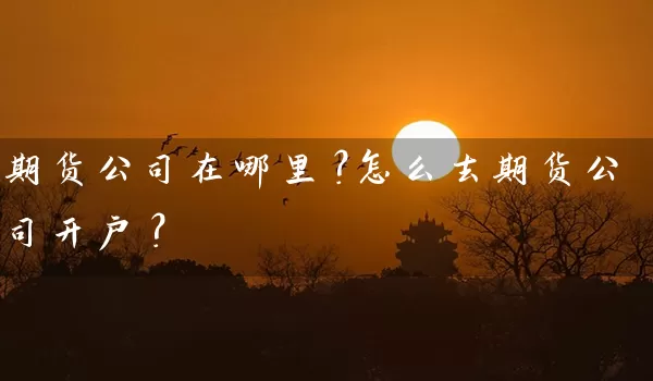 期货公司在哪里？怎么去期货公司开户？_https://www.wushaosheng.com_期货直播间_第1张