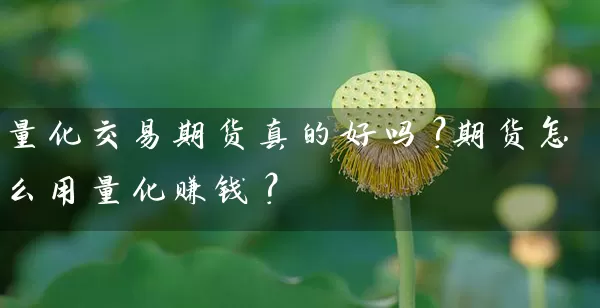 量化交易期货真的好吗？期货怎么用量化赚钱？_https://www.wushaosheng.com_期货直播间_第1张