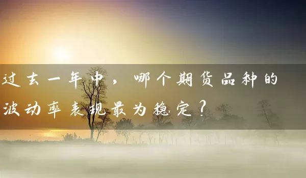 过去一年中，哪个期货品种的波动率表现最为稳定？_https://www.wushaosheng.com_花生期货_第1张