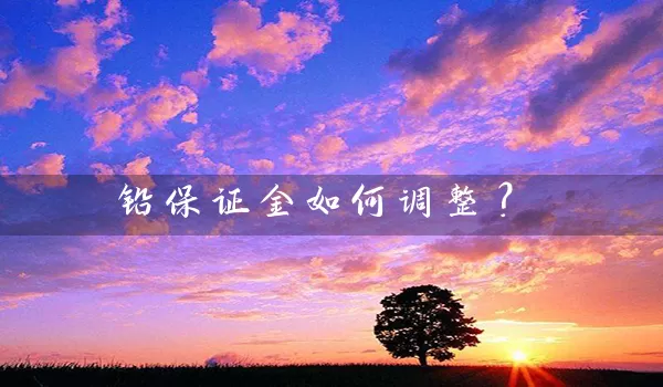 铅保证金如何调整？_https://www.wushaosheng.com_花生期货_第1张