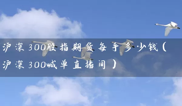 沪深300股指期货每手多少钱（沪深300喊单直播间）_https://www.wushaosheng.com_花生期货_第1张