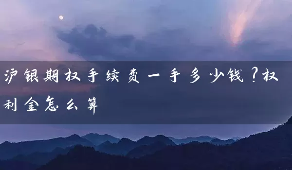 沪银期权手续费一手多少钱？权利金怎么算_https://www.wushaosheng.com_期货直播间_第1张