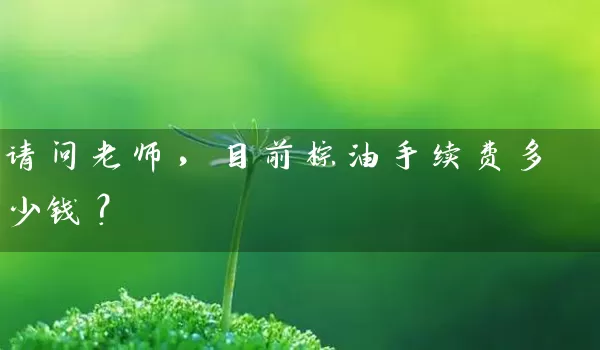 请问老师，目前棕油手续费多少钱？_https://www.wushaosheng.com_生猪期货_第1张