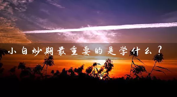 小白炒期最重要的是学什么？_https://www.wushaosheng.com_花生期货_第1张