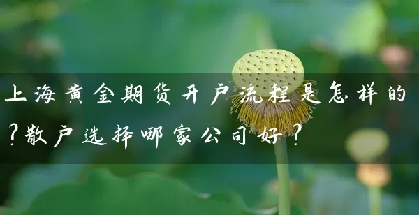 上海黄金期货开户流程是怎样的？散户选择哪家公司好？_https://www.wushaosheng.com_生猪期货_第1张